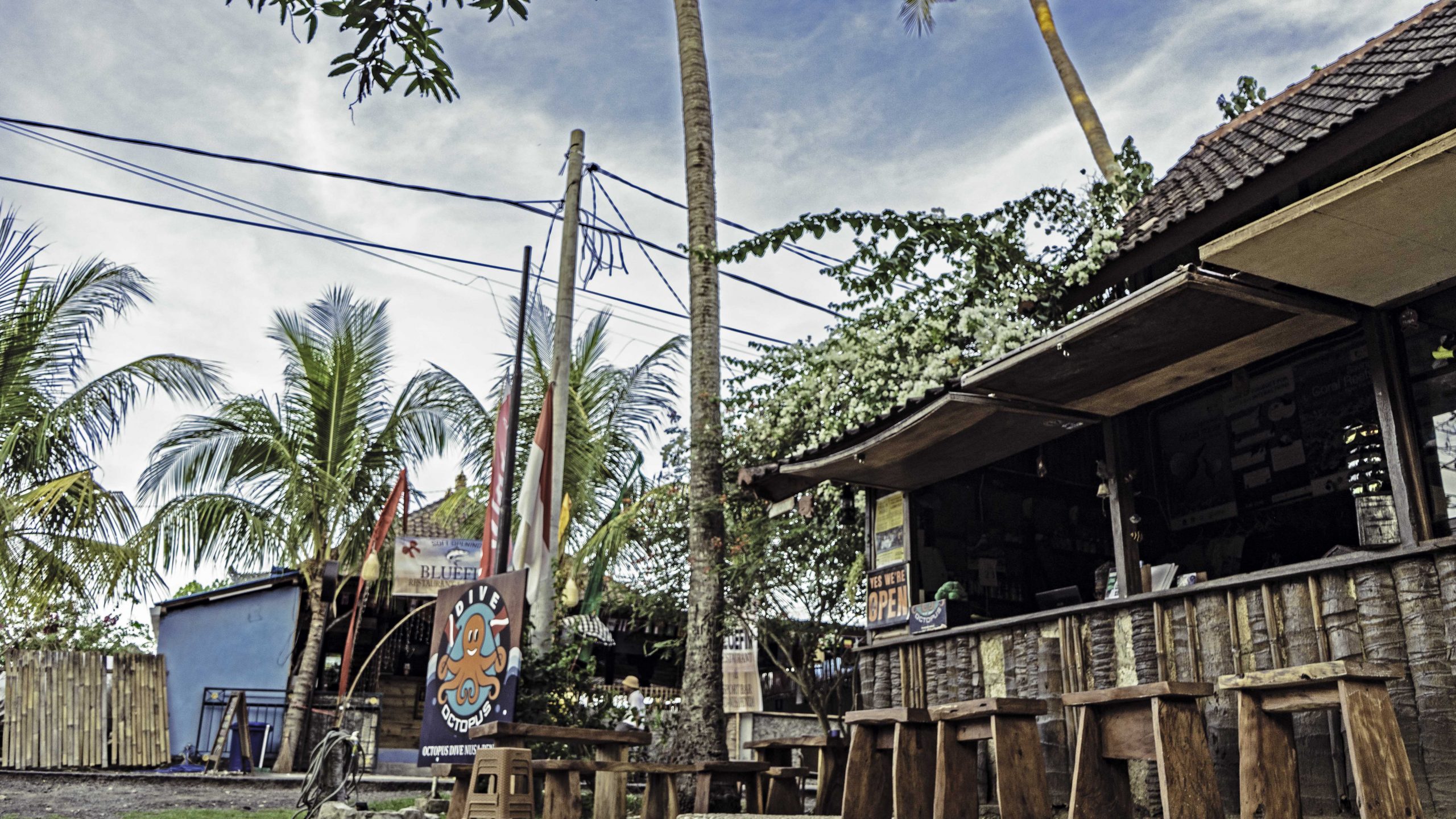 Why you have to go diving with Octopus Dive Penida? Octopus Dive