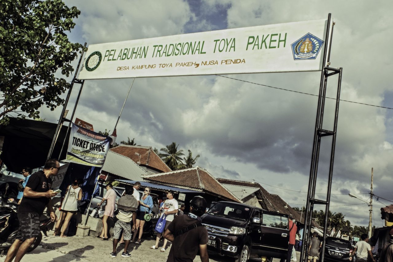 Why you have to go diving with Octopus Dive Penida? Octopus Dive