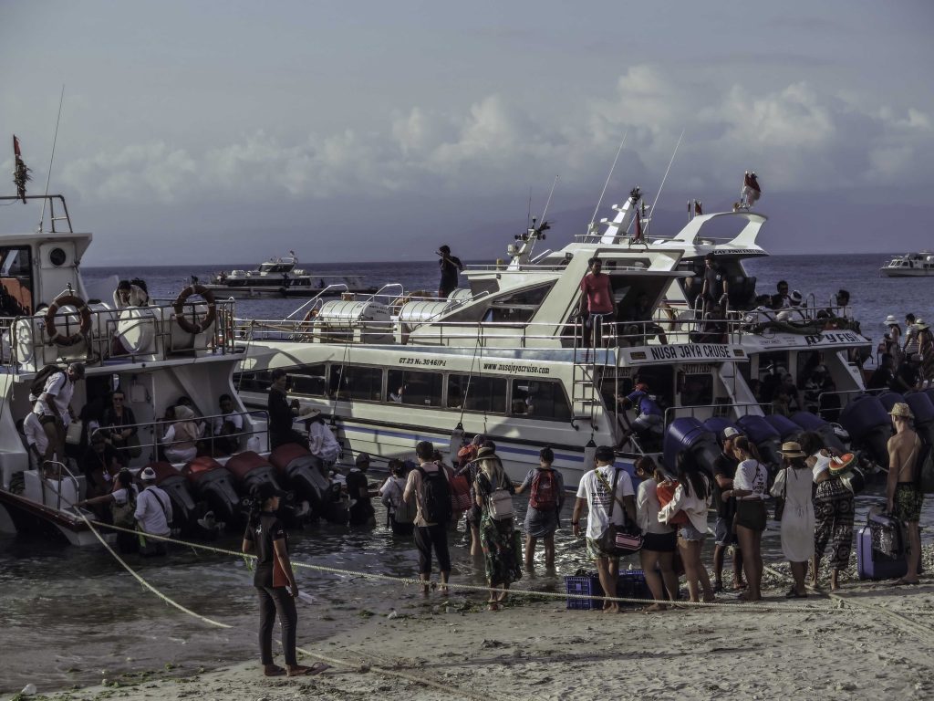 Why you have to go diving with Octopus Dive Penida? Octopus Dive