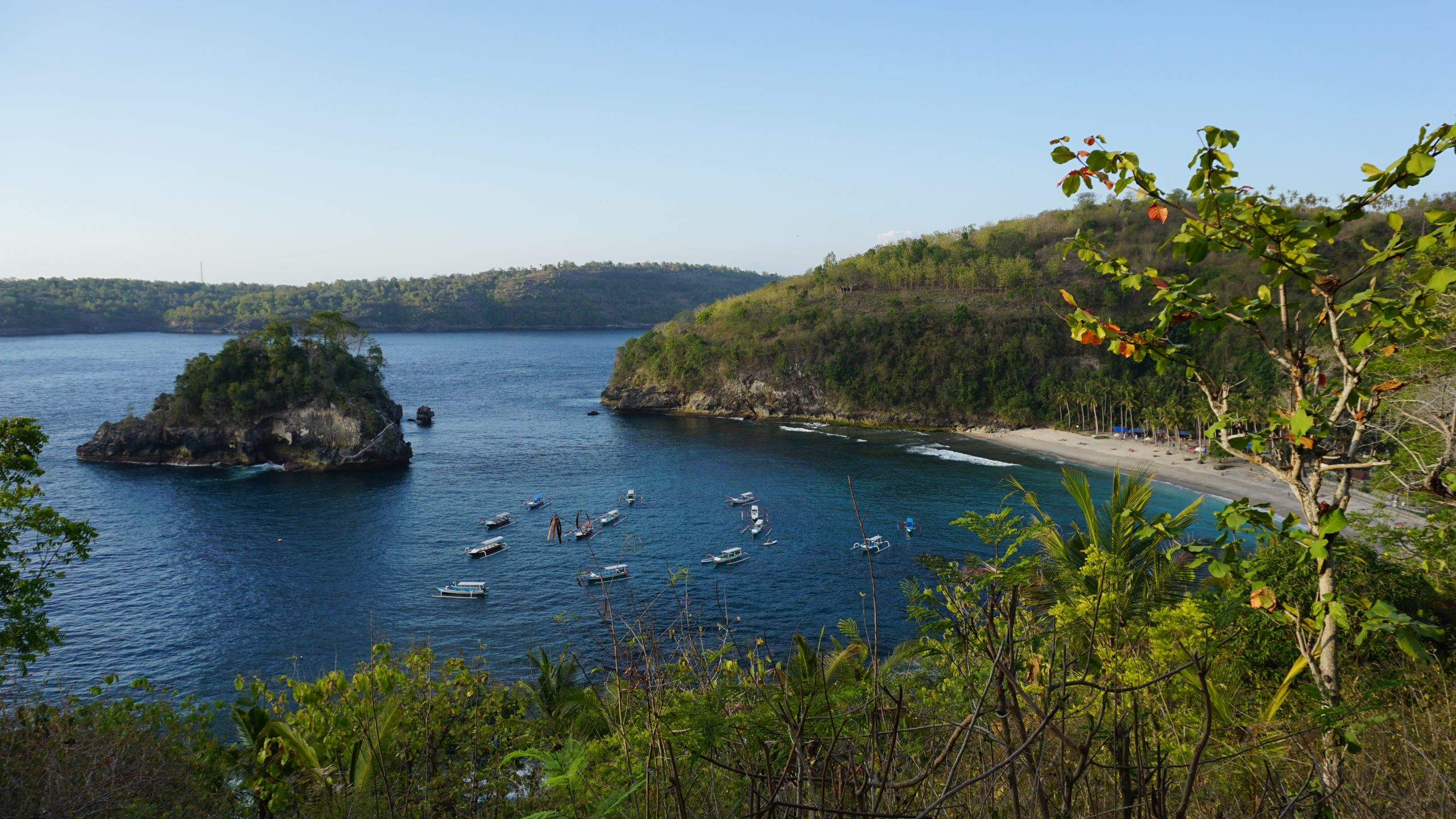 WHAT TO DO WHILE YOU ARE IN NUSA PENIDA Octopus Dive