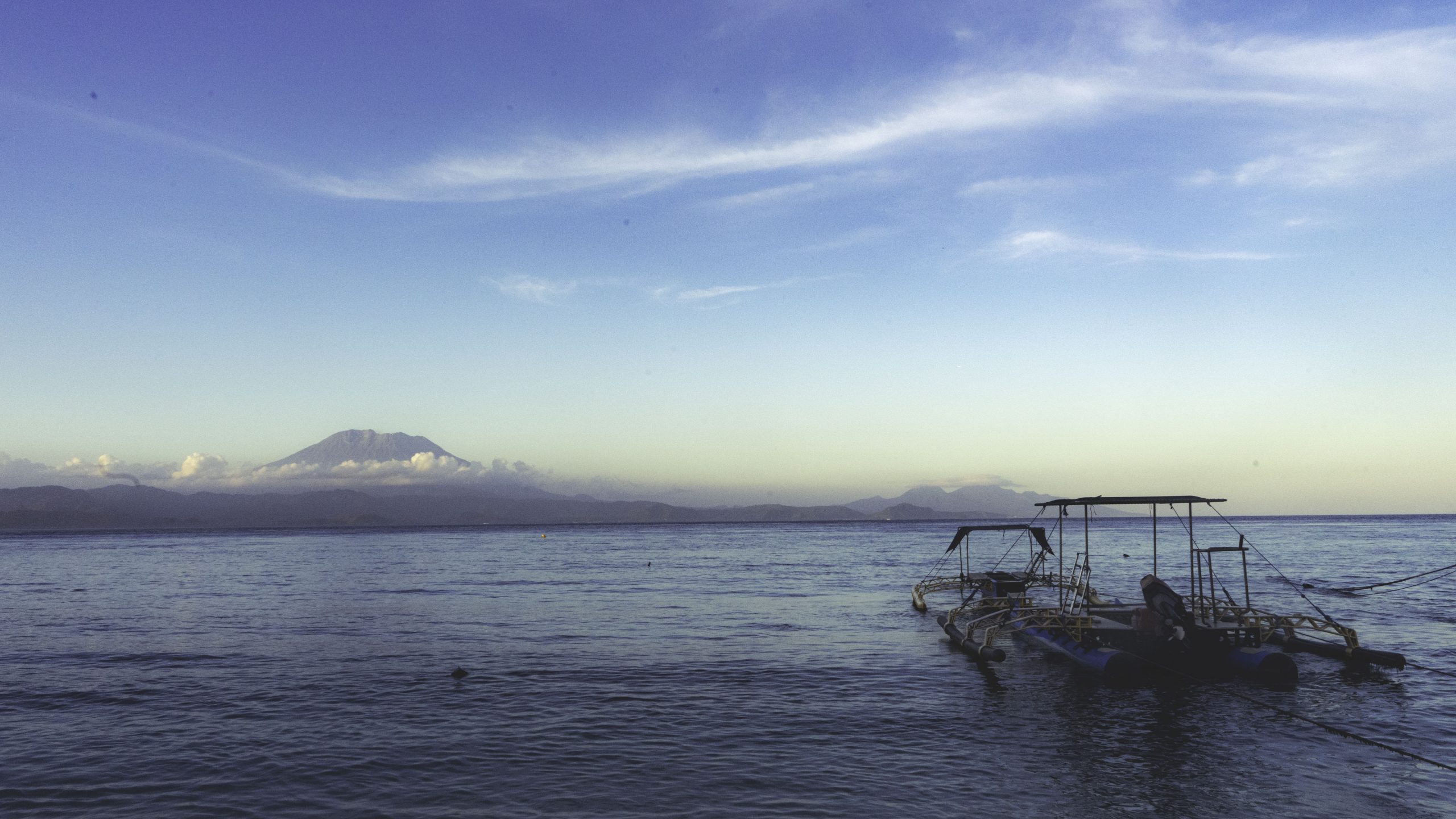 WHAT TO DO WHILE YOU ARE IN NUSA PENIDA Octopus Dive